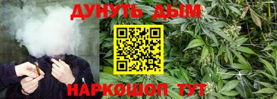 трава Ярославль