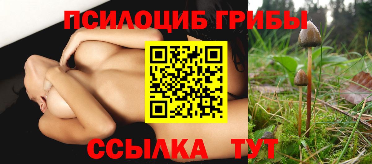 Галлюциногенные грибы мухоморы Арсеньев
