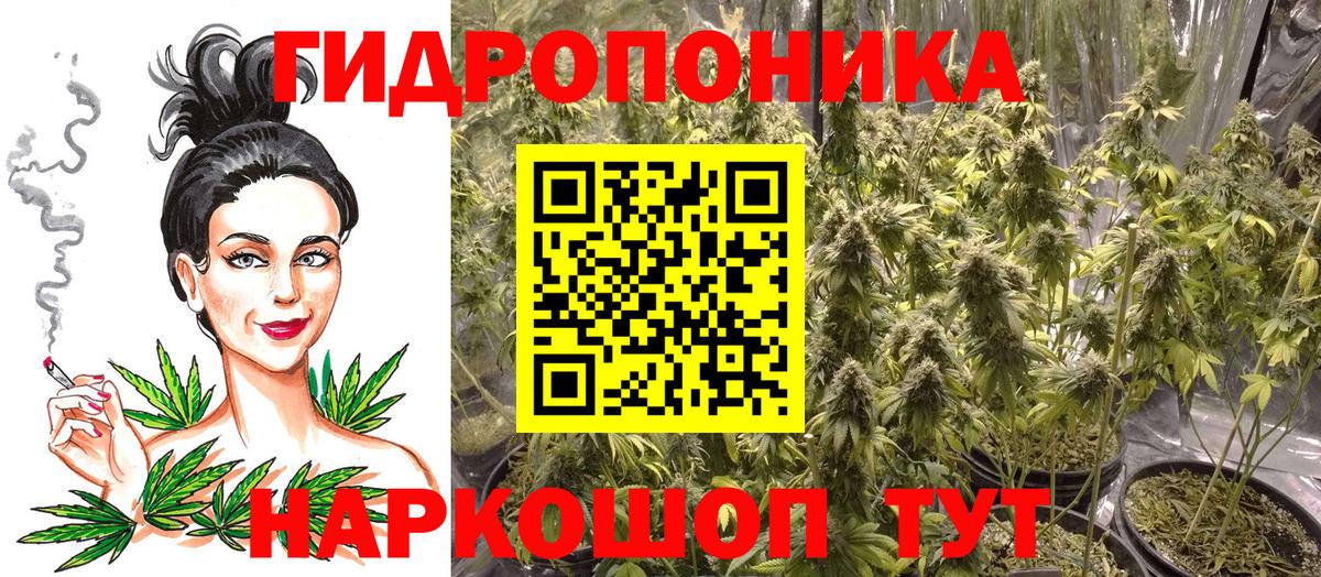 Марихуана Amnesia  Бошки марихуана тримм  Бошки Шишки White Widow  Арсеньев  Шишки марихуана гибрид  Вход с VPN 
